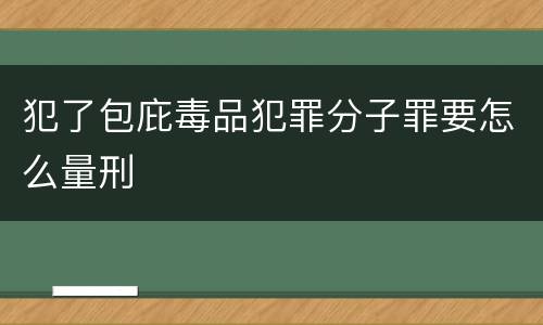 犯了包庇毒品犯罪分子罪要怎么量刑