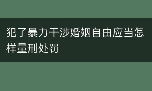 犯了暴力干涉婚姻自由应当怎样量刑处罚