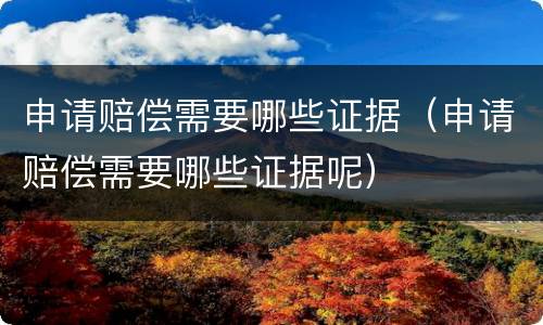 申请赔偿需要哪些证据（申请赔偿需要哪些证据呢）