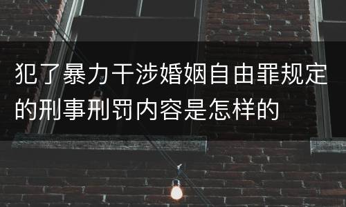 犯了暴力干涉婚姻自由罪规定的刑事刑罚内容是怎样的