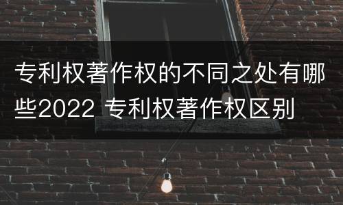 专利权著作权的不同之处有哪些2022 专利权著作权区别