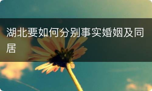 湖北要如何分别事实婚姻及同居