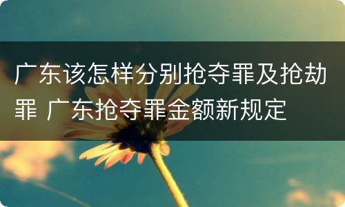 广东该怎样分别抢夺罪及抢劫罪 广东抢夺罪金额新规定