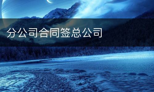 分公司合同签总公司