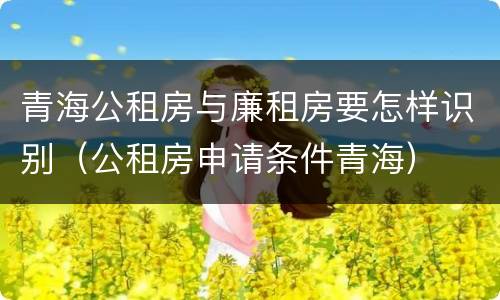 青海公租房与廉租房要怎样识别（公租房申请条件青海）
