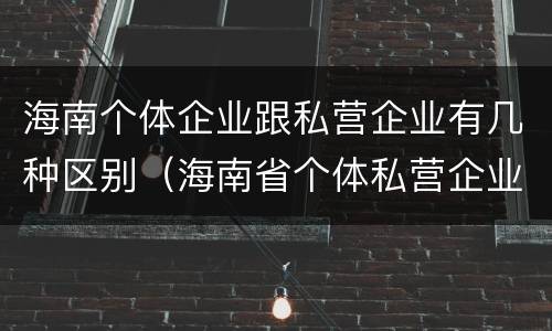海南个体企业跟私营企业有几种区别（海南省个体私营企业协会）
