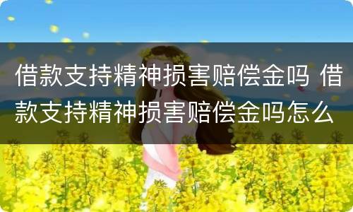 借款支持精神损害赔偿金吗 借款支持精神损害赔偿金吗怎么算