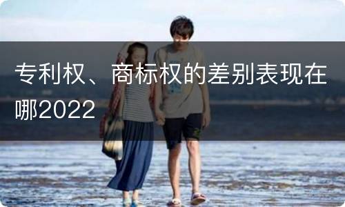 专利权、商标权的差别表现在哪2022