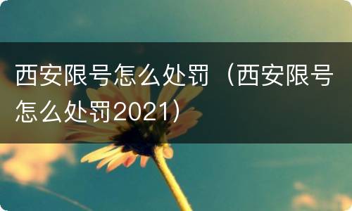 西安限号怎么处罚（西安限号怎么处罚2021）