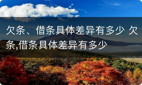 欠条、借条具体差异有多少 欠条,借条具体差异有多少