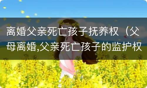 离婚父亲死亡孩子抚养权（父母离婚,父亲死亡孩子的监护权）