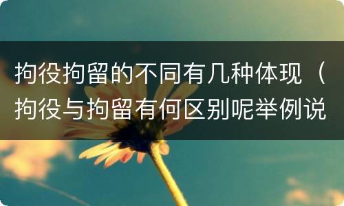 拘役拘留的不同有几种体现（拘役与拘留有何区别呢举例说明）