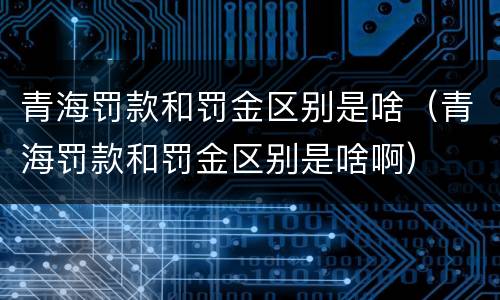 青海罚款和罚金区别是啥（青海罚款和罚金区别是啥啊）