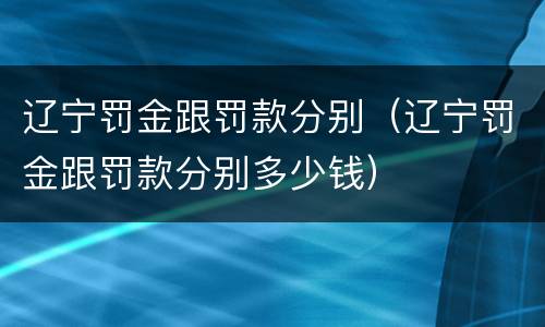 辽宁罚金跟罚款分别（辽宁罚金跟罚款分别多少钱）