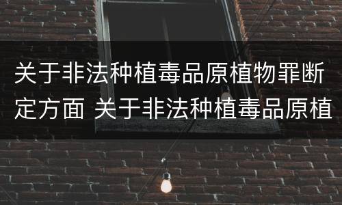 关于非法种植毒品原植物罪断定方面 关于非法种植毒品原植物罪断定方面的规定