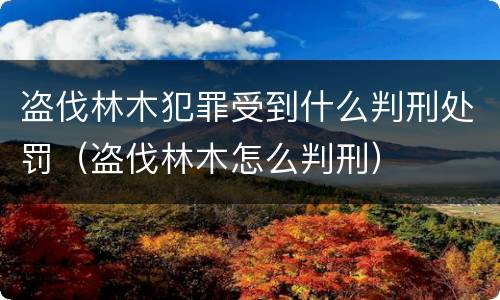 盗伐林木犯罪受到什么判刑处罚（盗伐林木怎么判刑）