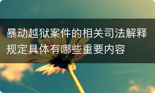 暴动越狱案件的相关司法解释规定具体有哪些重要内容