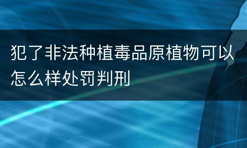 犯了非法种植毒品原植物可以怎么样处罚判刑