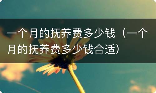 一个月的抚养费多少钱（一个月的抚养费多少钱合适）