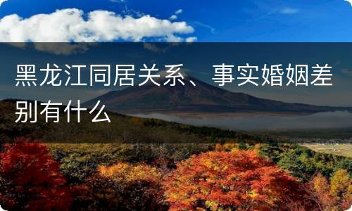 黑龙江同居关系、事实婚姻差别有什么