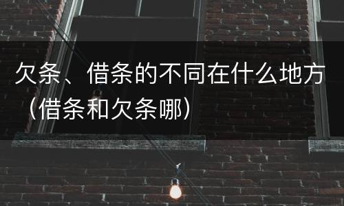 欠条、借条的不同在什么地方（借条和欠条哪）