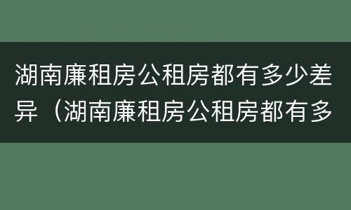 湖南廉租房公租房都有多少差异（湖南廉租房公租房都有多少差异的）