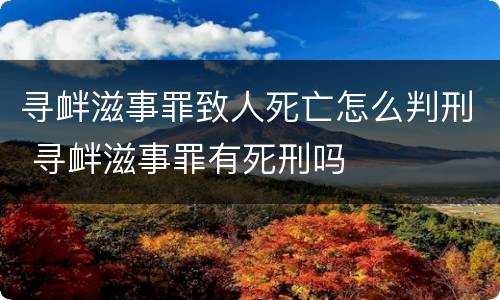 寻衅滋事罪致人死亡怎么判刑 寻衅滋事罪有死刑吗