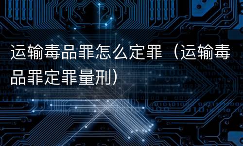 运输毒品罪怎么定罪（运输毒品罪定罪量刑）