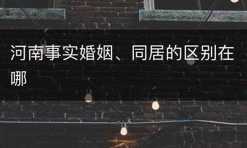 河南事实婚姻、同居的区别在哪