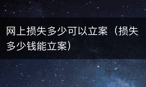网上损失多少可以立案（损失多少钱能立案）