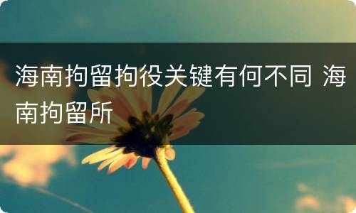 海南拘留拘役关键有何不同 海南拘留所