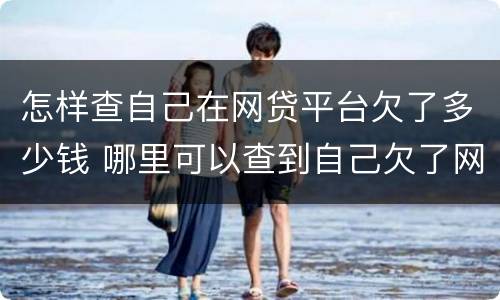 怎样查自己在网贷平台欠了多少钱 哪里可以查到自己欠了网贷
