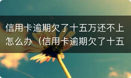 信用卡逾期欠了十五万还不上怎么办（信用卡逾期欠了十五万还不上怎么办呢）