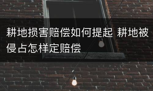耕地损害赔偿如何提起 耕地被侵占怎样定赔偿