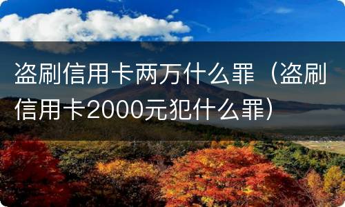 盗刷信用卡两万什么罪（盗刷信用卡2000元犯什么罪）