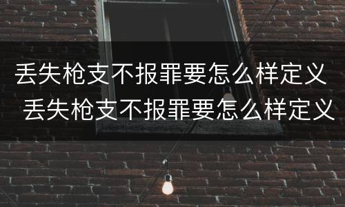 丢失枪支不报罪要怎么样定义 丢失枪支不报罪要怎么样定义刑事案件