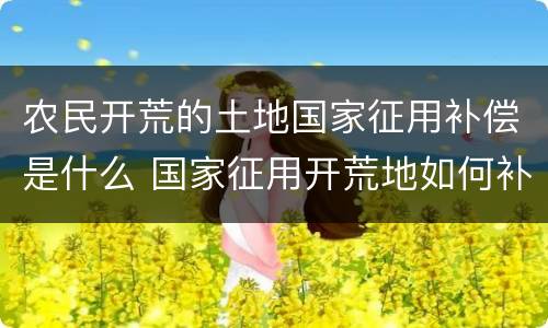 农民开荒的土地国家征用补偿是什么 国家征用开荒地如何补偿