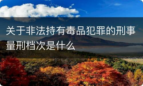 关于非法持有毒品犯罪的刑事量刑档次是什么