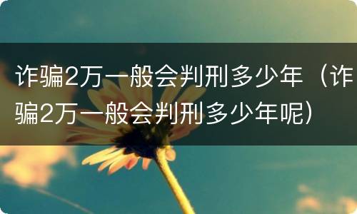 诈骗2万一般会判刑多少年（诈骗2万一般会判刑多少年呢）
