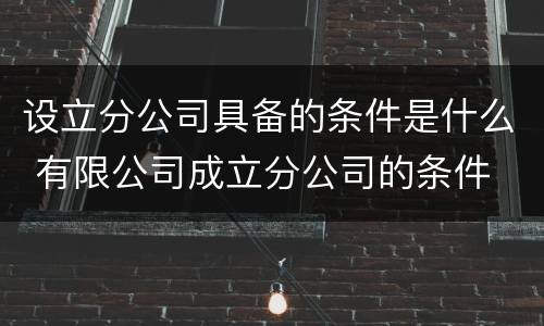 设立分公司具备的条件是什么 有限公司成立分公司的条件