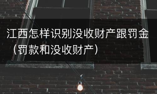 江西怎样识别没收财产跟罚金（罚款和没收财产）