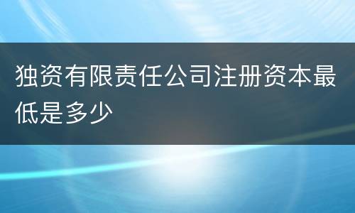 独资有限责任公司注册资本最低是多少