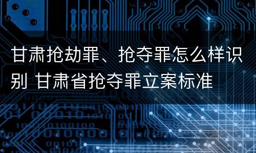 甘肃抢劫罪、抢夺罪怎么样识别 甘肃省抢夺罪立案标准