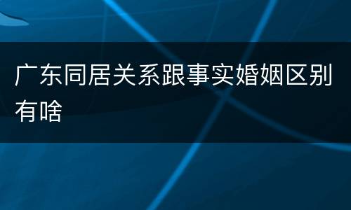 广东同居关系跟事实婚姻区别有啥