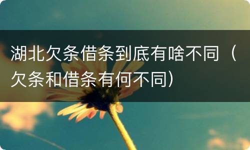 湖北欠条借条到底有啥不同（欠条和借条有何不同）