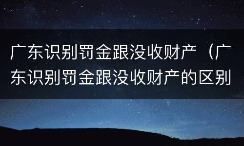 广东识别罚金跟没收财产（广东识别罚金跟没收财产的区别）