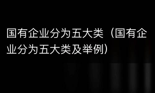国有企业分为五大类（国有企业分为五大类及举例）