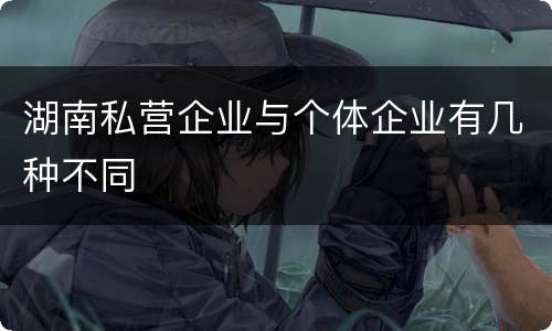 湖南私营企业与个体企业有几种不同