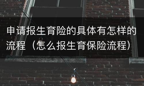 申请报生育险的具体有怎样的流程（怎么报生育保险流程）