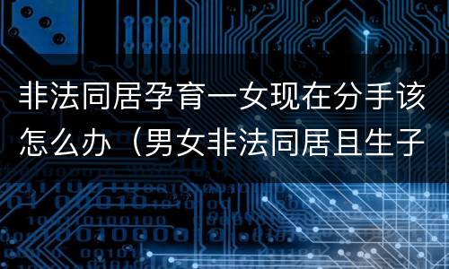 非法同居孕育一女现在分手该怎么办（男女非法同居且生子怎么处理）